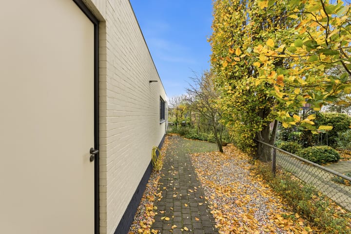 Photo 62 of Karper 4