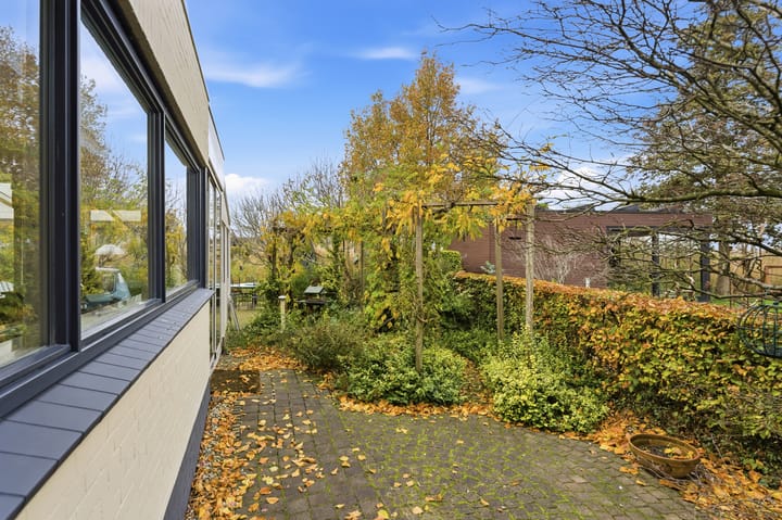 Photo 63 of Karper 4