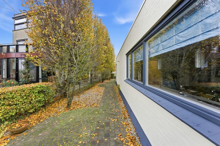 Photo 64 of Karper 4