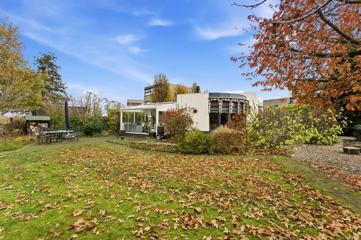 Photo 69 of Karper 4