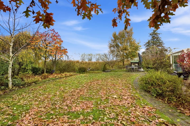 Photo 70 of Karper 4