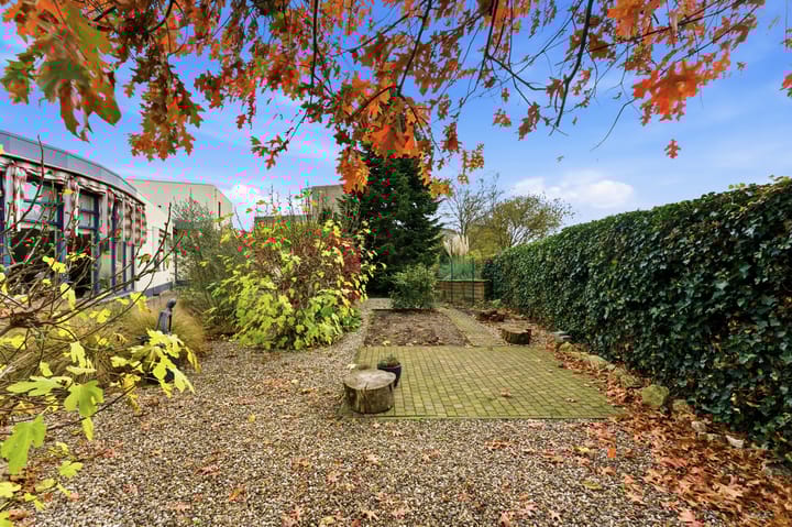 Photo 71 of Karper 4