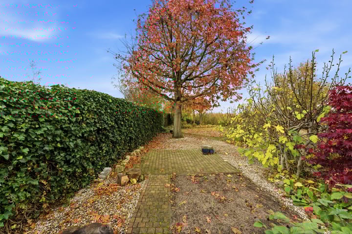 Photo 73 of Karper 4