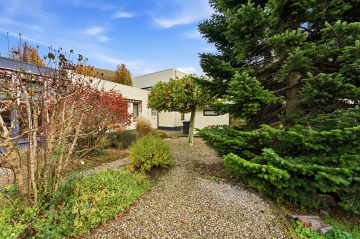 Photo 74 of Karper 4