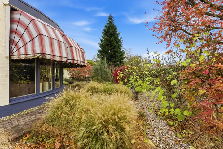 Photo 76 of Karper 4