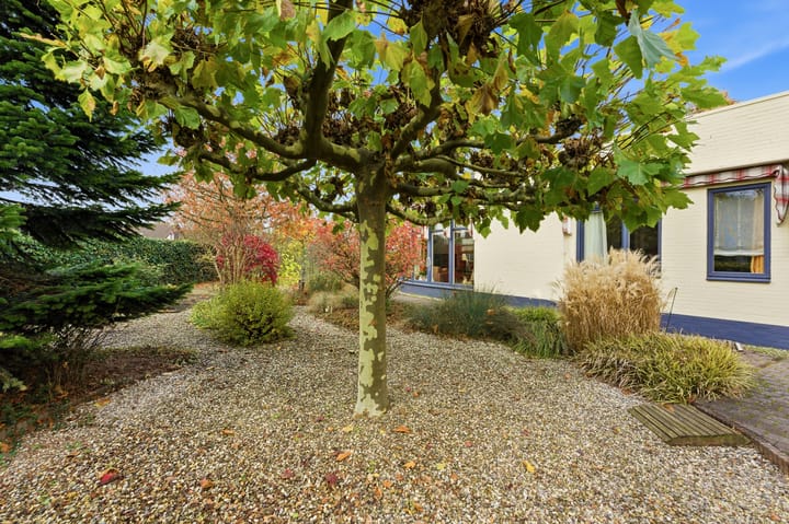 Photo 77 of Karper 4