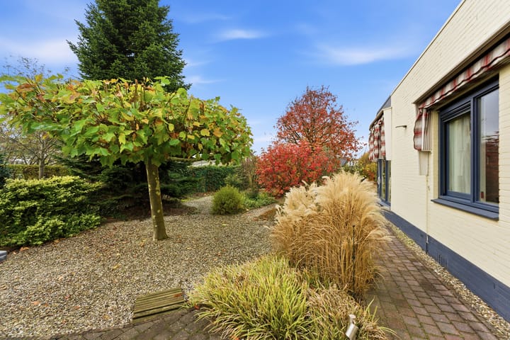 Photo 78 of Karper 4