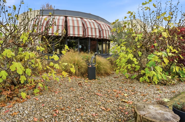 Photo 80 of Karper 4