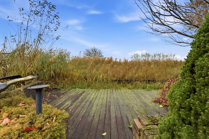 Photo 81 of Karper 4