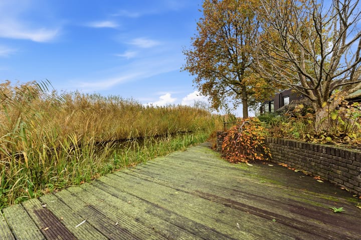 Photo 82 of Karper 4