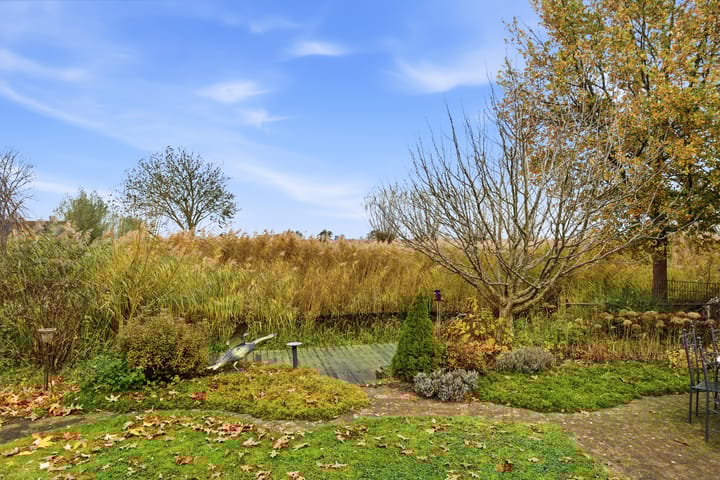 Photo 86 of Karper 4