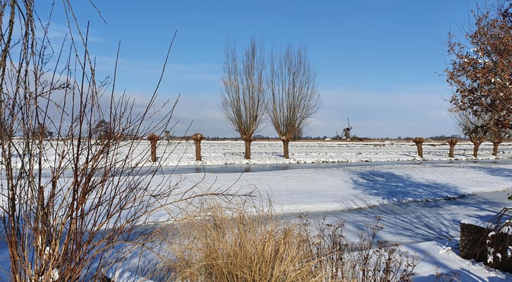 Photo 88 of Karper 4