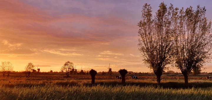 Photo 89 of Karper 4