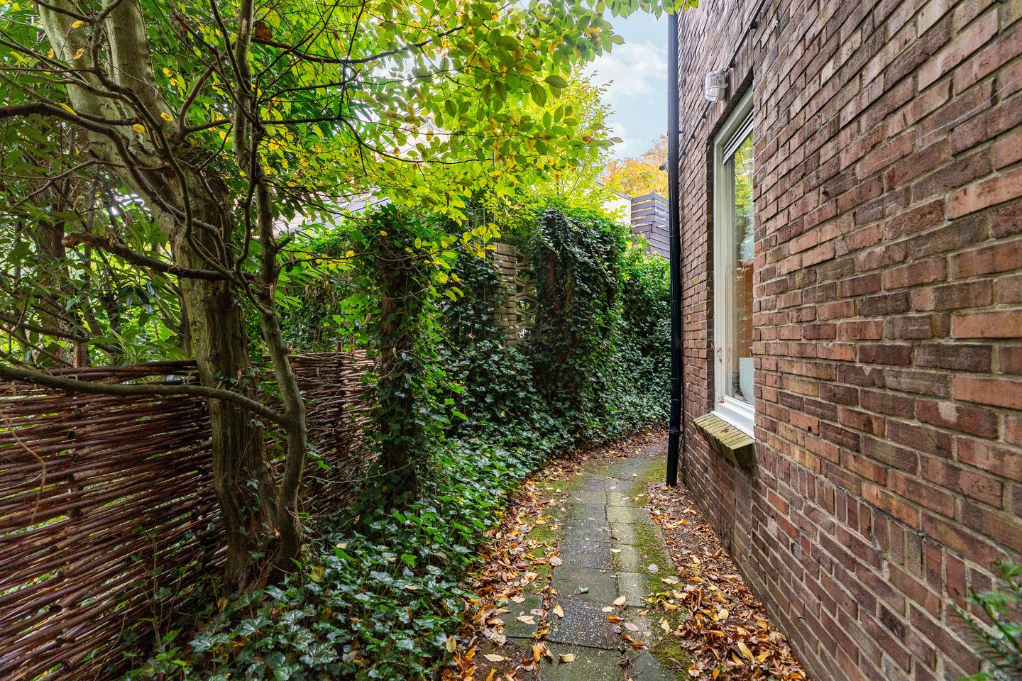 Foto 50 van Schelmseweg 46