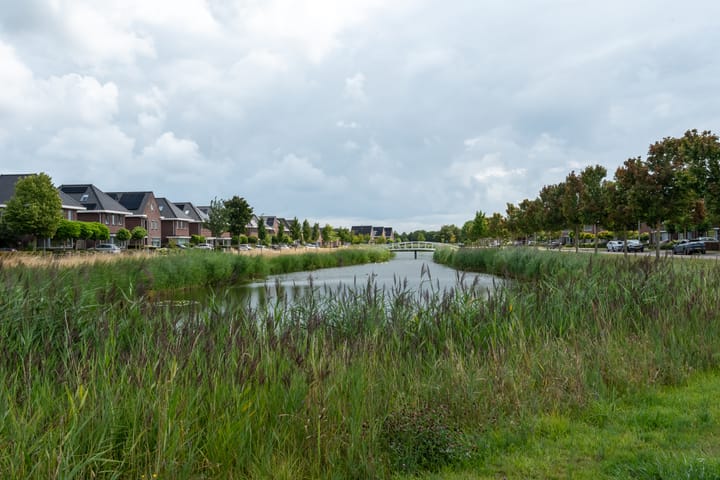 Foto 28 van Klaproos 28