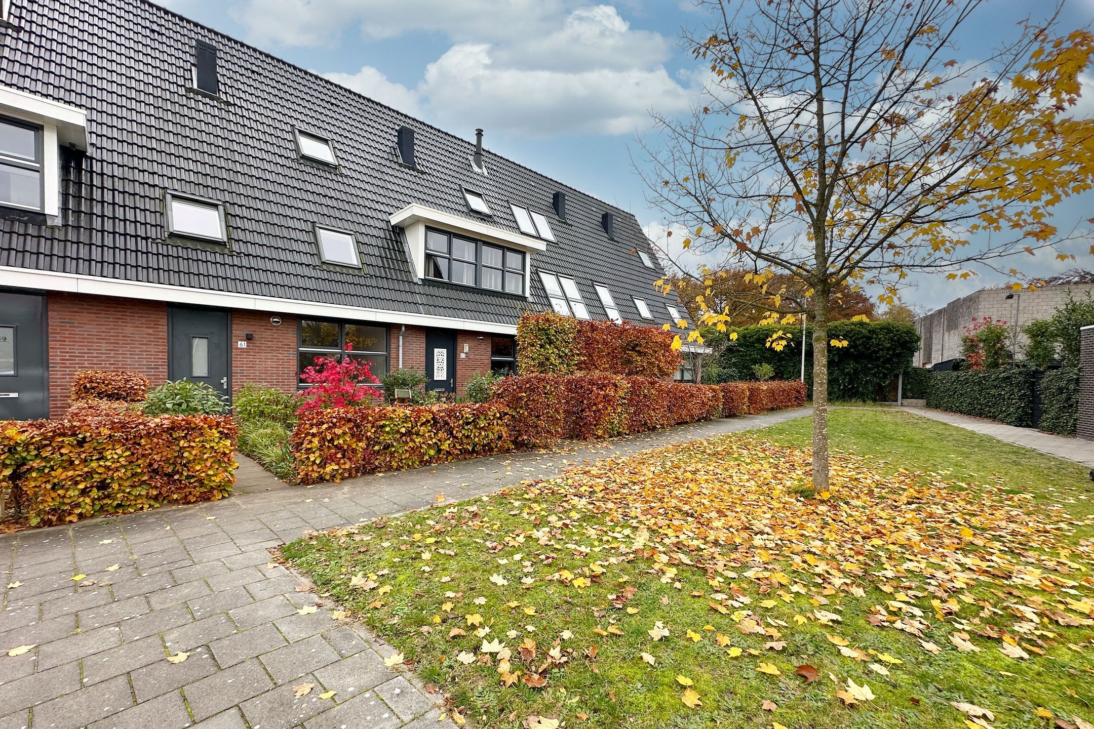 Foto 33 van Samuel de Marezhof 61