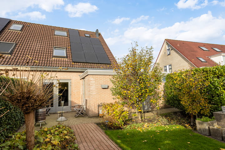 Foto 4 van Vogelzwin 11