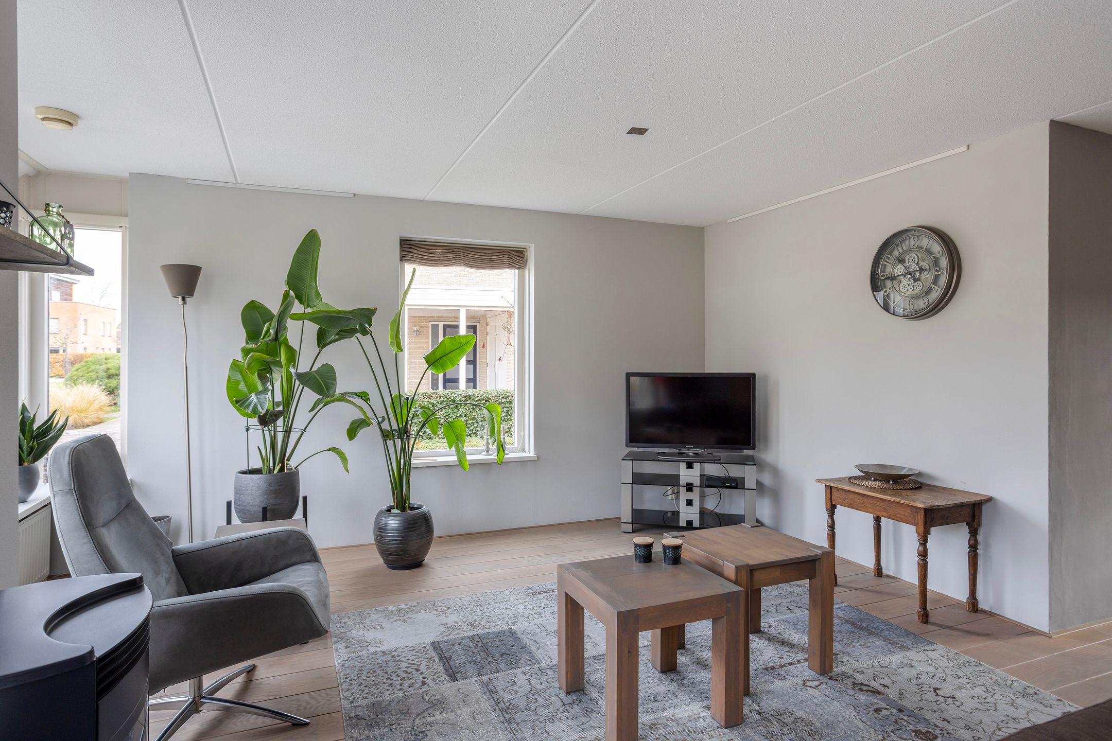 Foto 9 van Vogelzwin 11