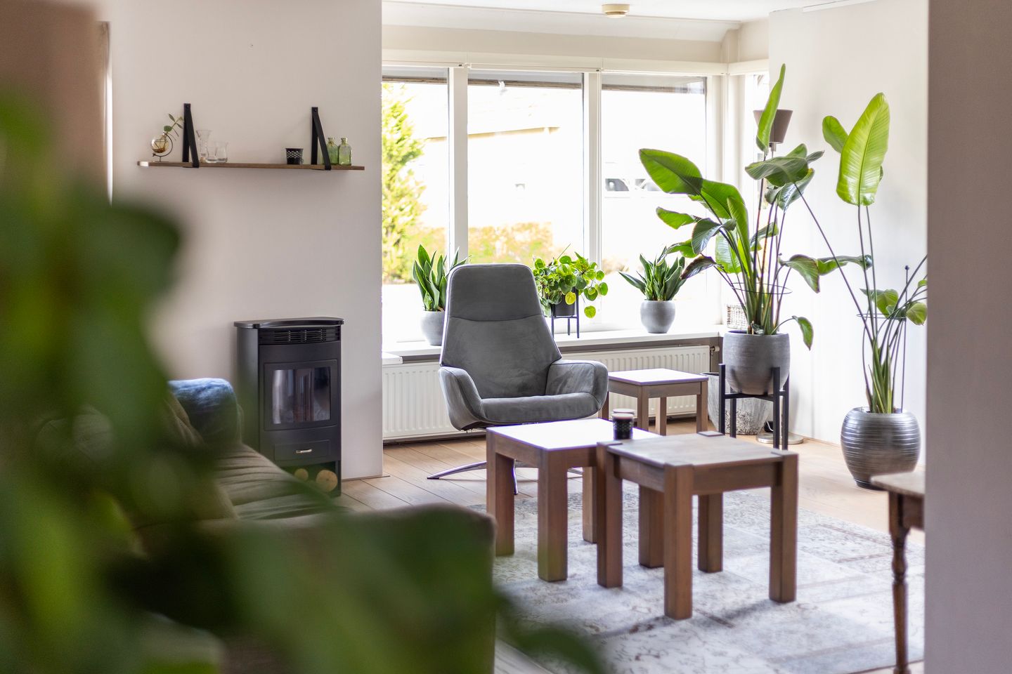 Foto 10 van Vogelzwin 11