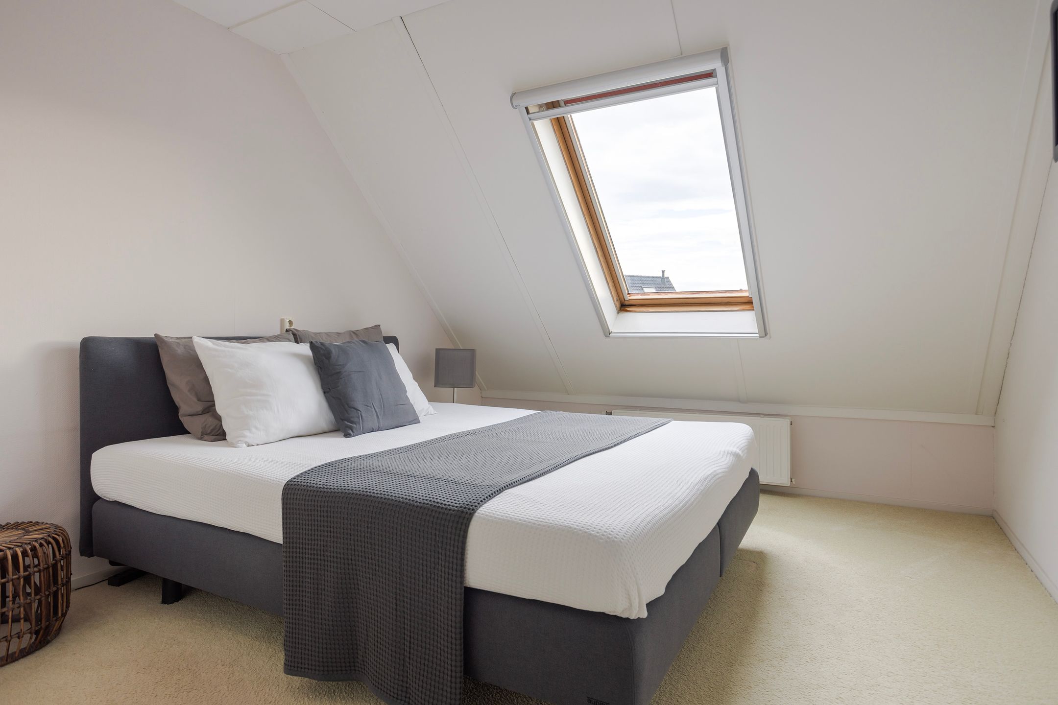 Foto 21 van Vogelzwin 11