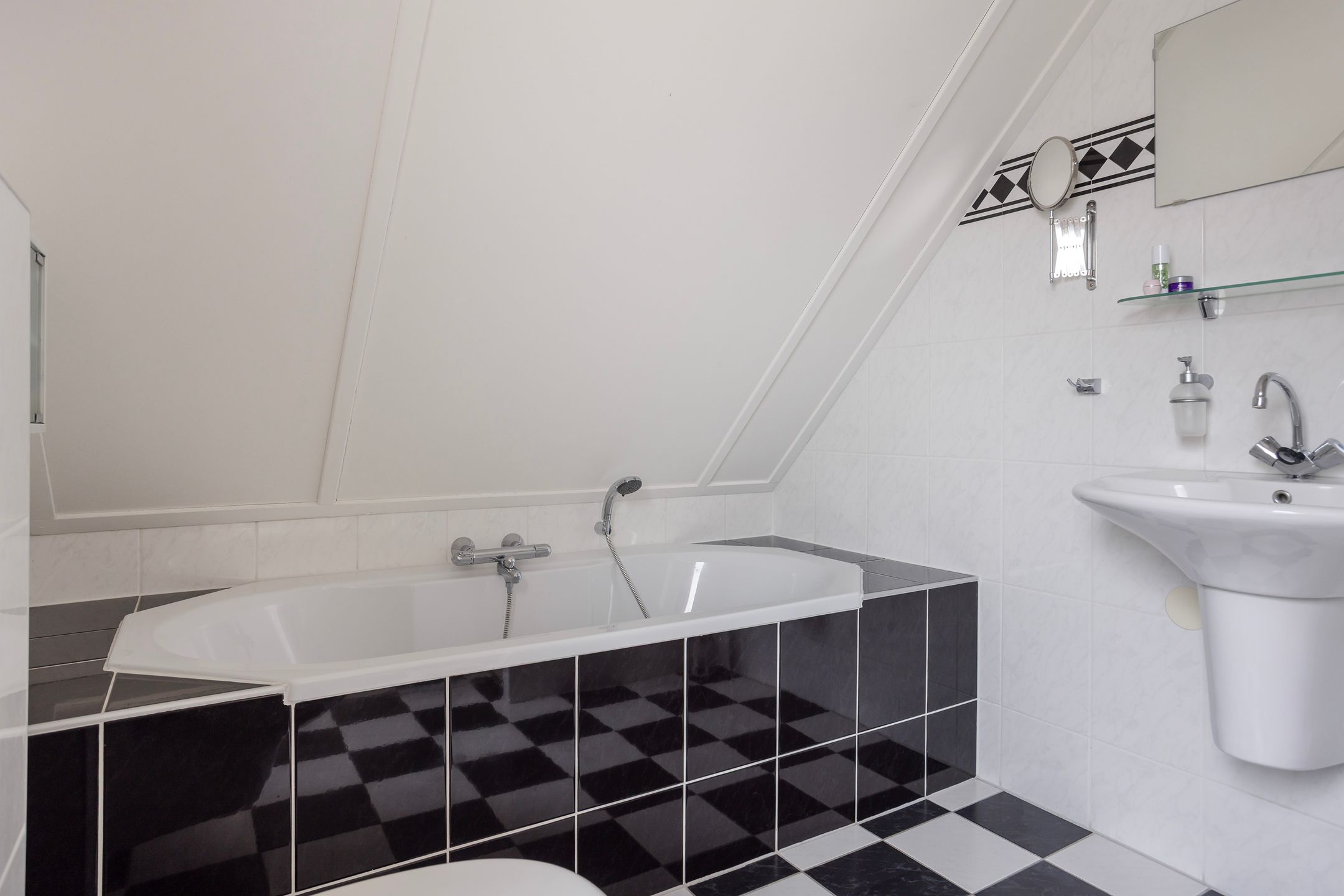 Foto 24 van Vogelzwin 11