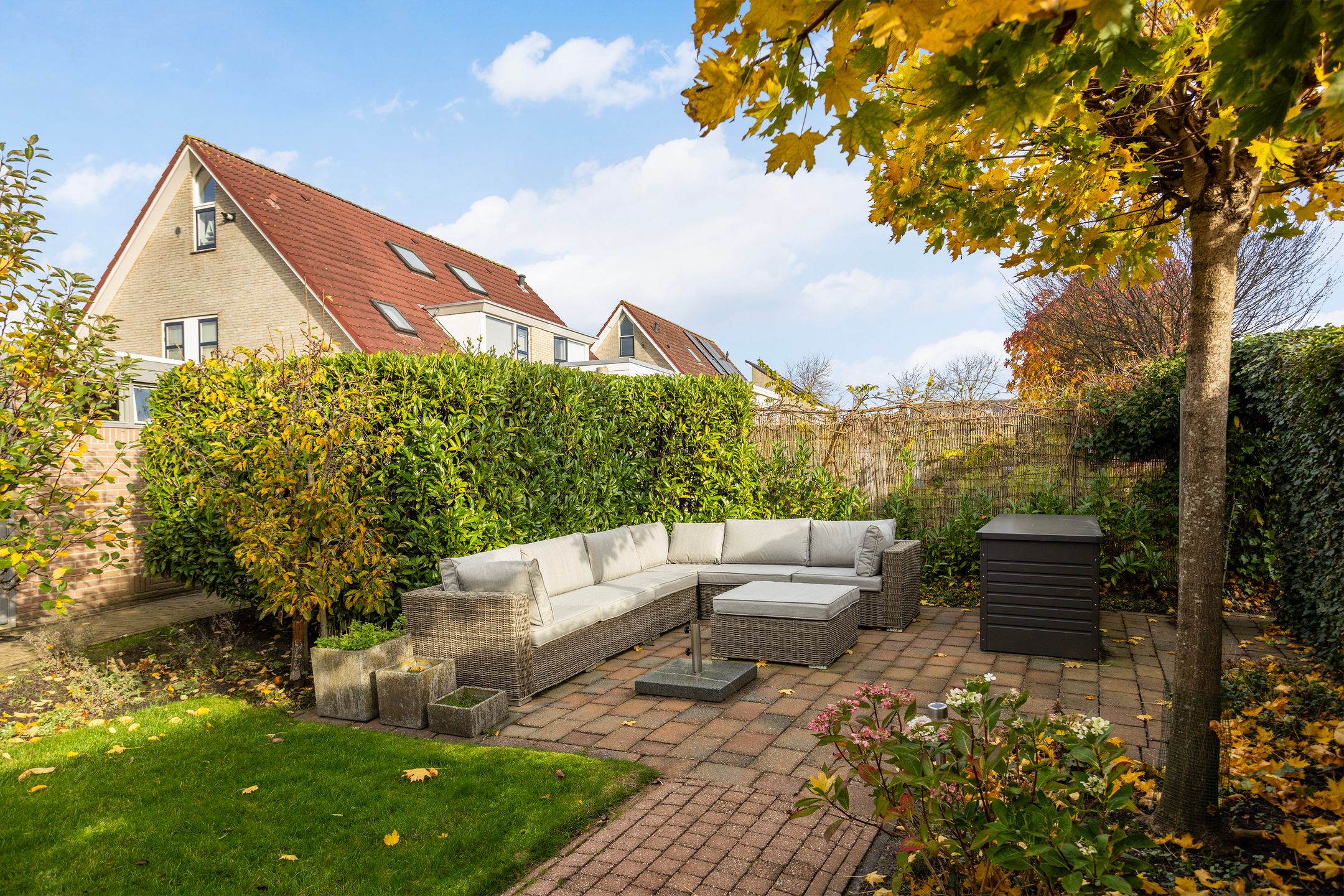 Foto 39 van Vogelzwin 11