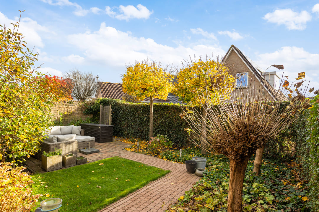 Foto 38 van Vogelzwin 11