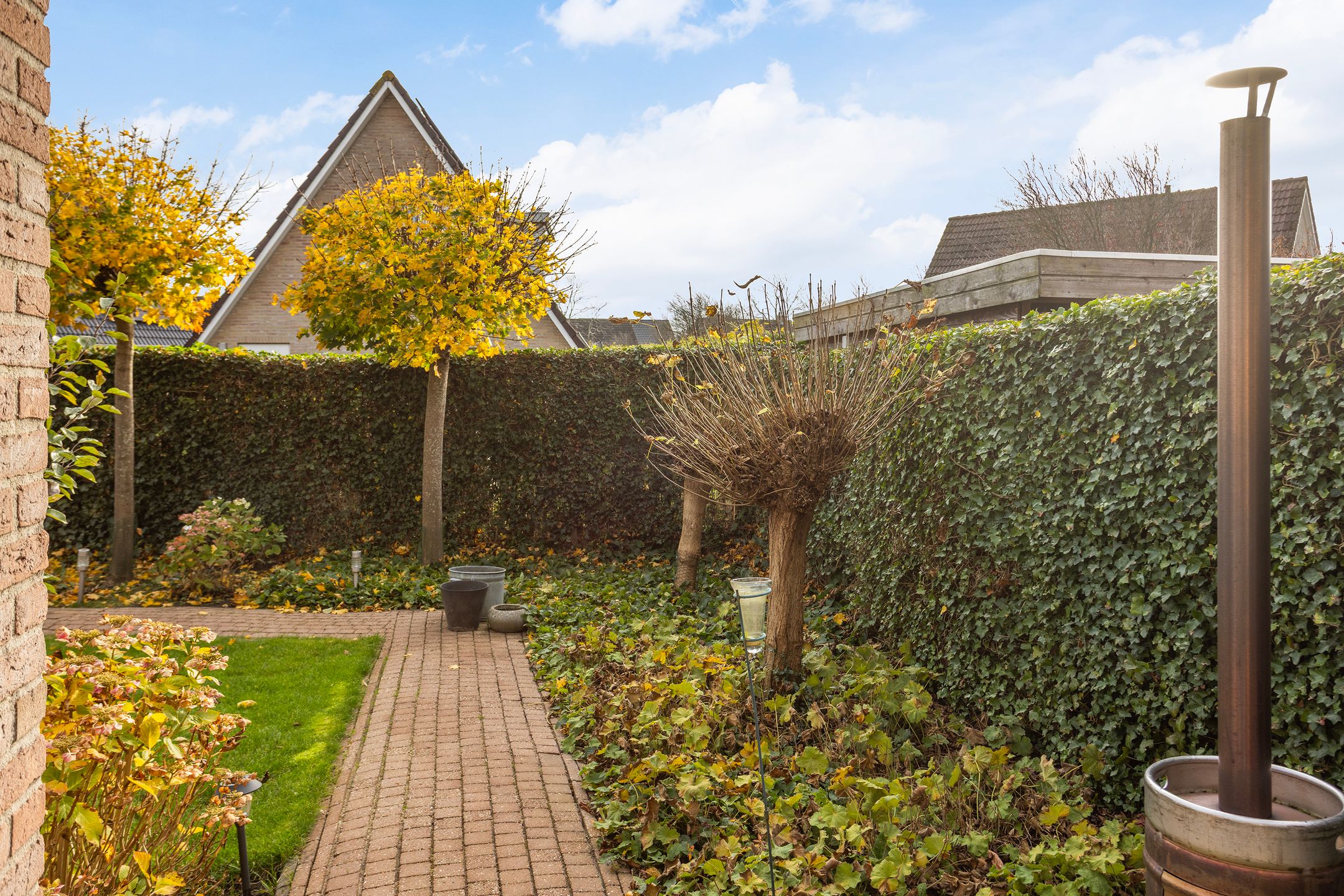 Foto 36 van Vogelzwin 11