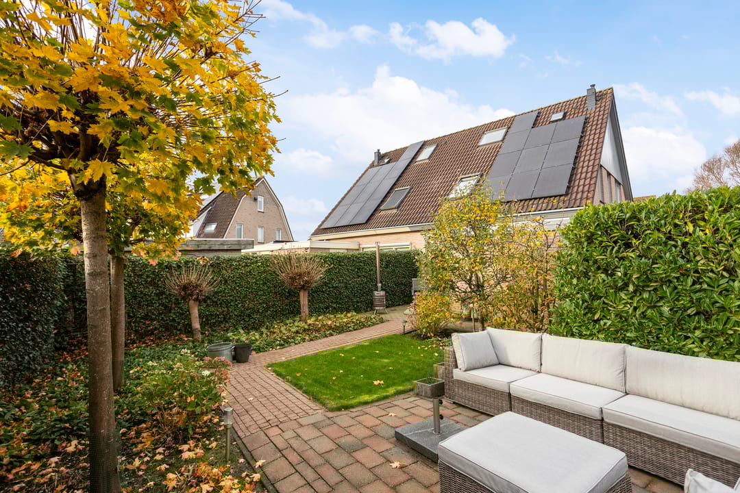 Foto 41 van Vogelzwin 11