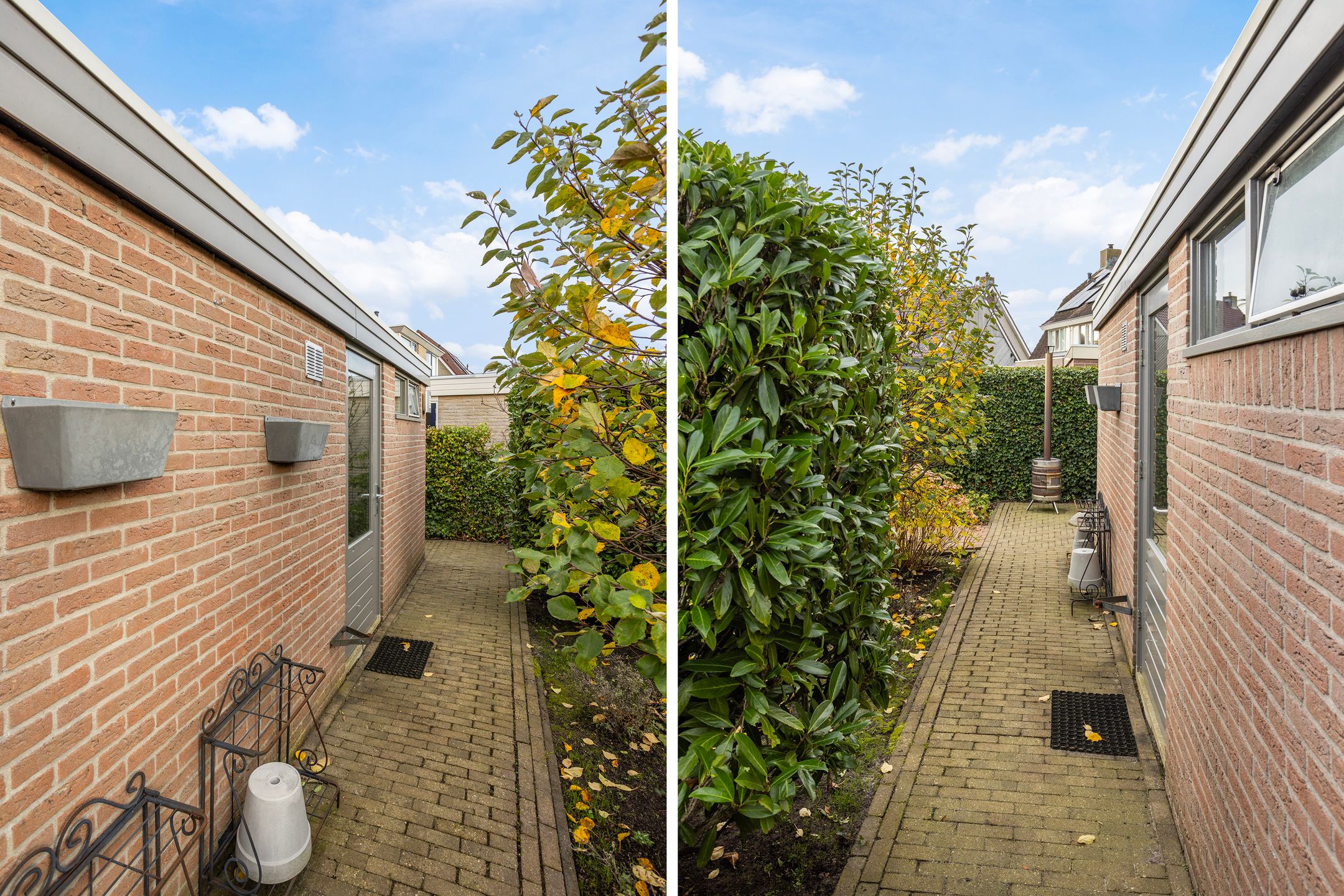 Foto 42 van Vogelzwin 11