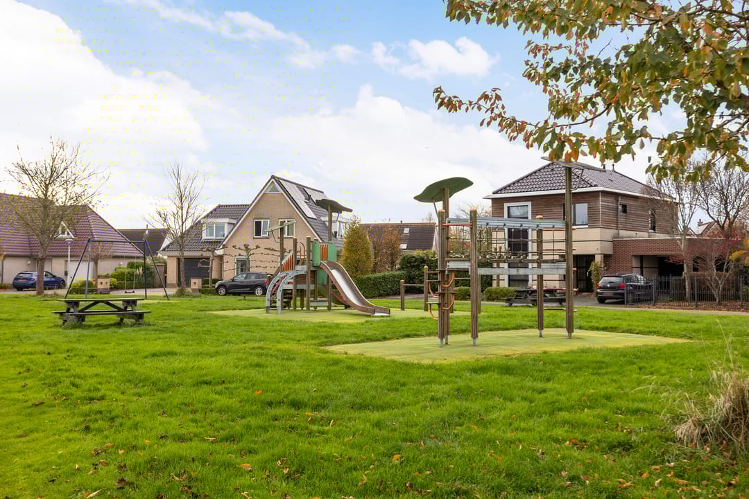 Foto 46 van Vogelzwin 11