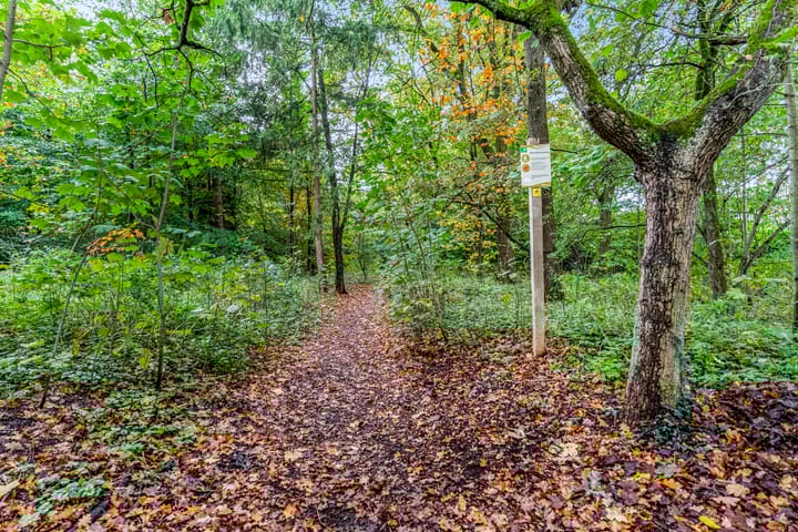 Foto 61 van Marmontweg 17