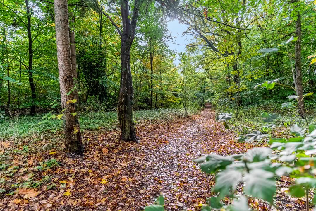 Foto 62 van Marmontweg 17