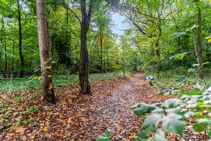 Foto 62 van Marmontweg 17