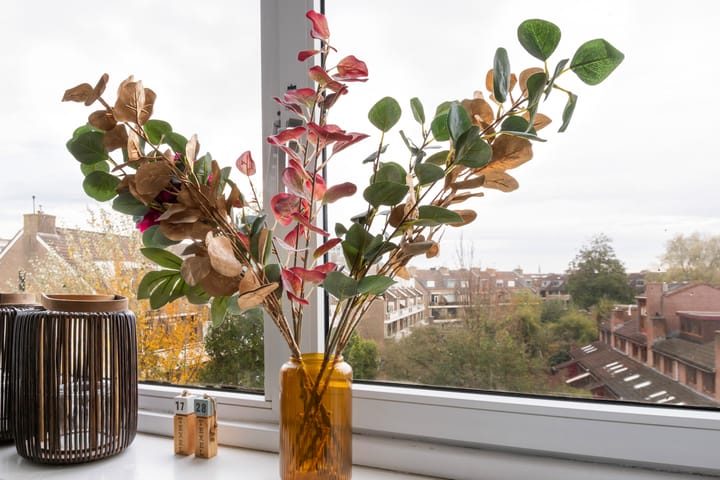 Foto 26 van Anna van Hensbeeksingel 268