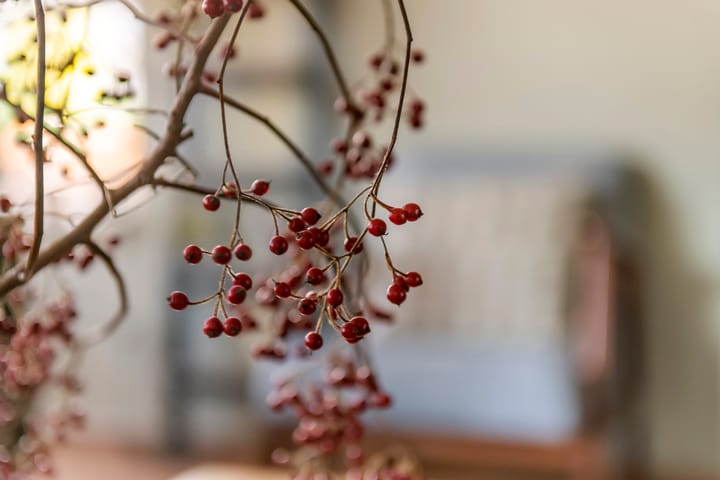 Photo 7 of Mantet 14