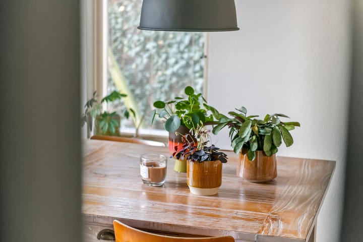 Photo 15 of Mantet 14