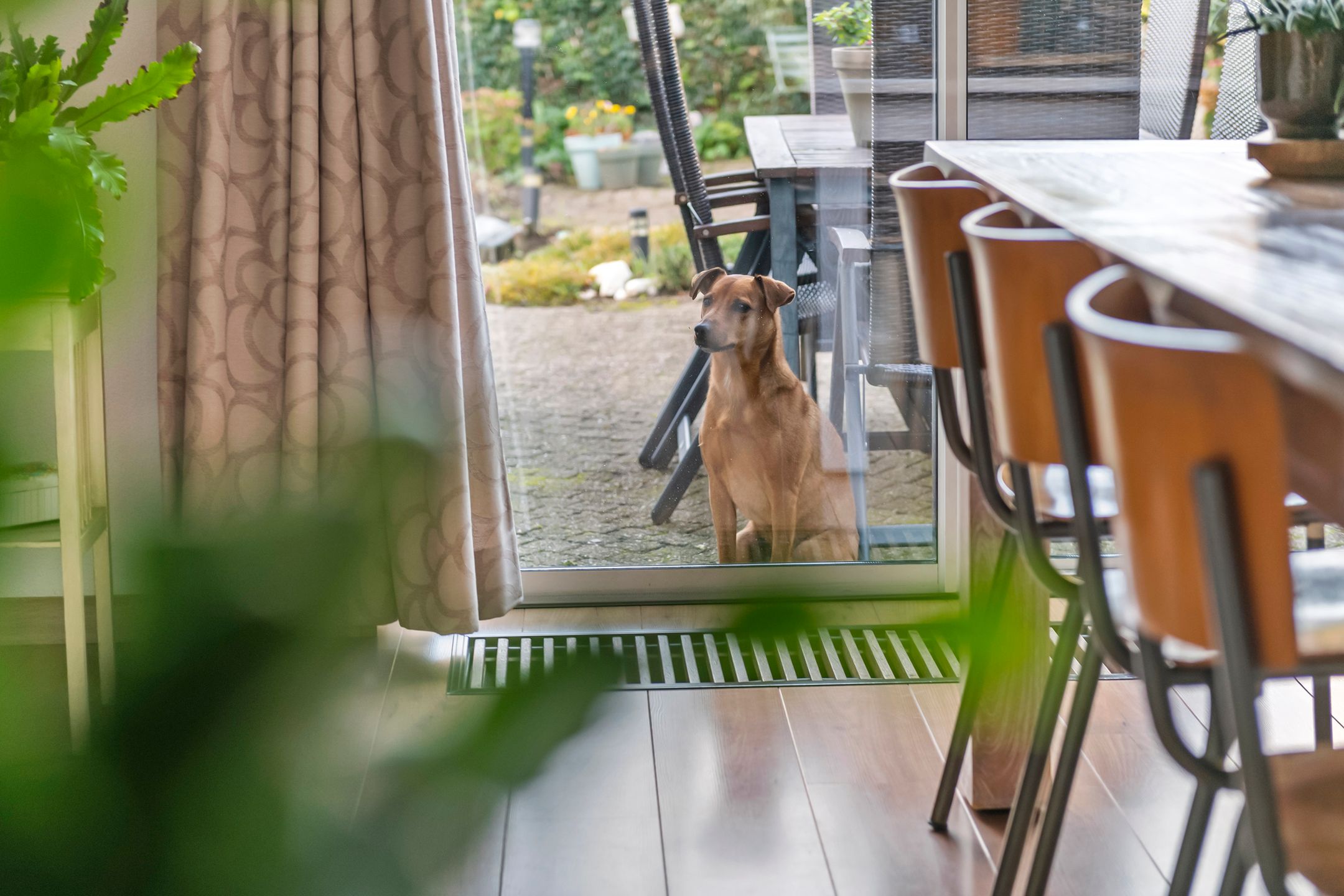 Photo 18 of Mantet 14