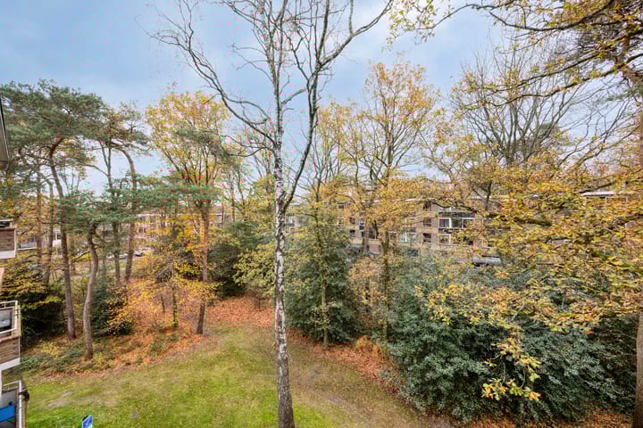 Foto 27 van Antonie van Leeuwenhoeklaan 201