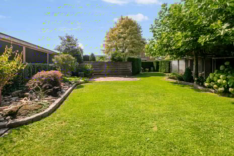 Ranonkelstraat 16 tertiary image