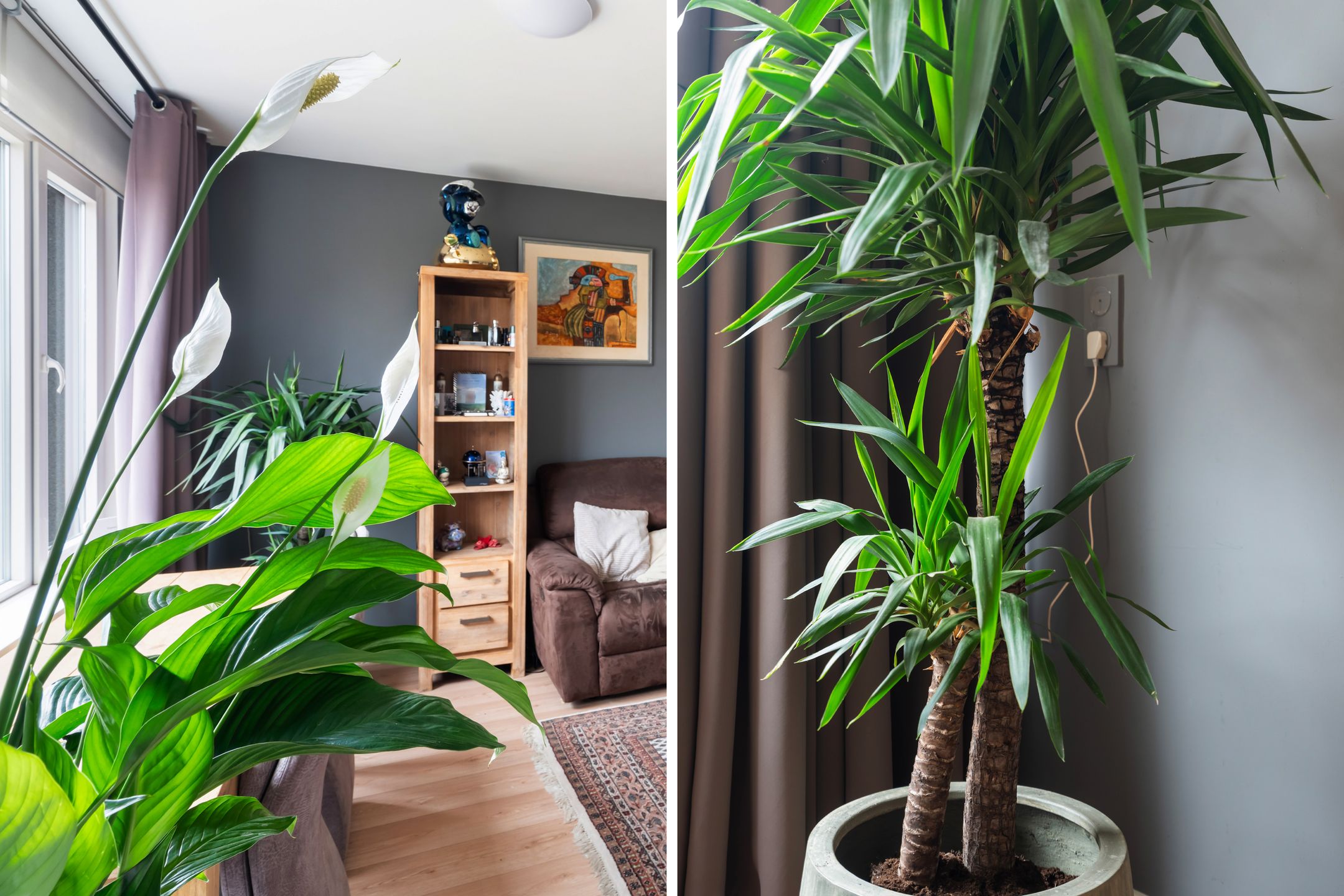 Photo 12 of Van der Helmstraat 476