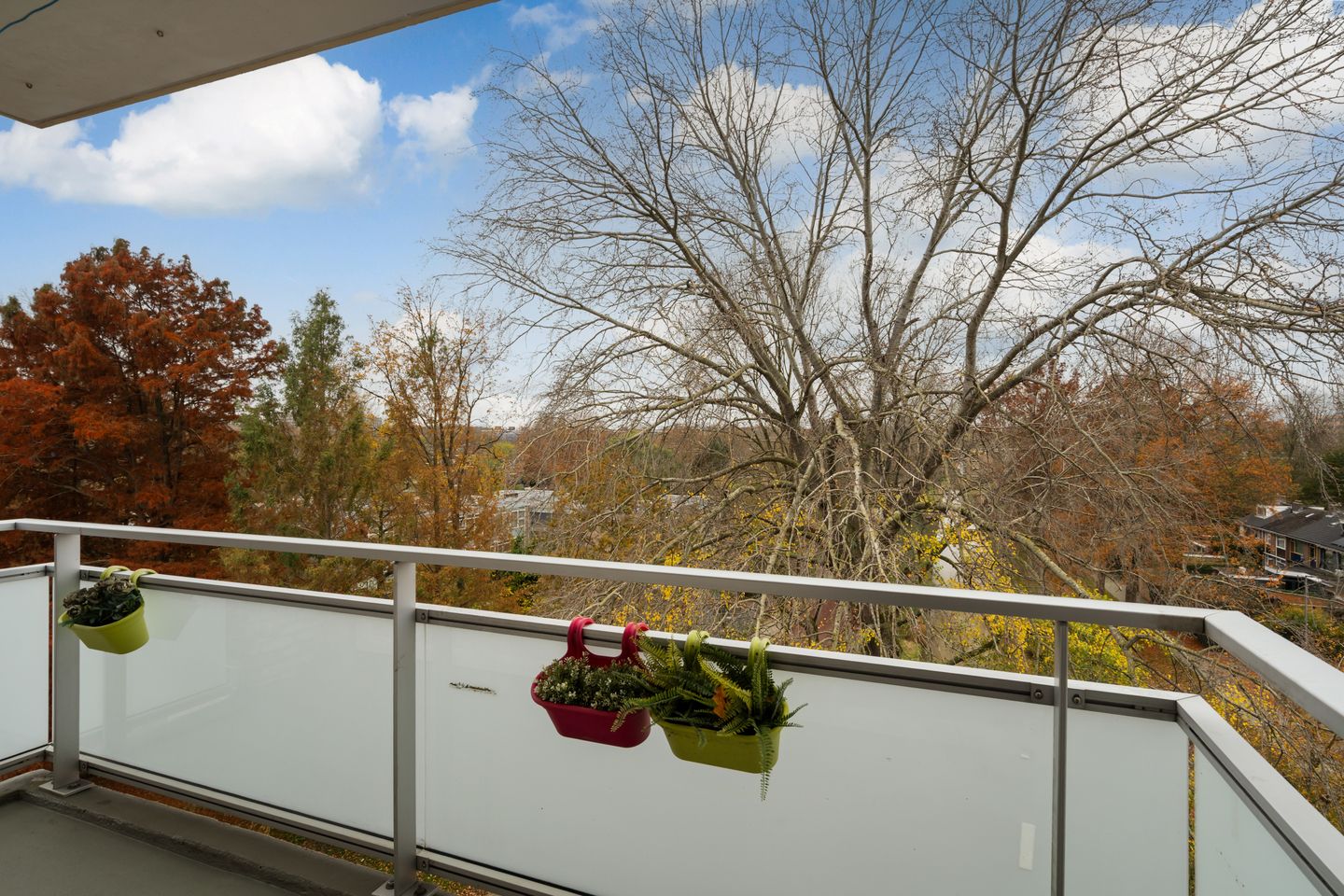 Photo 14 of Van der Helmstraat 476