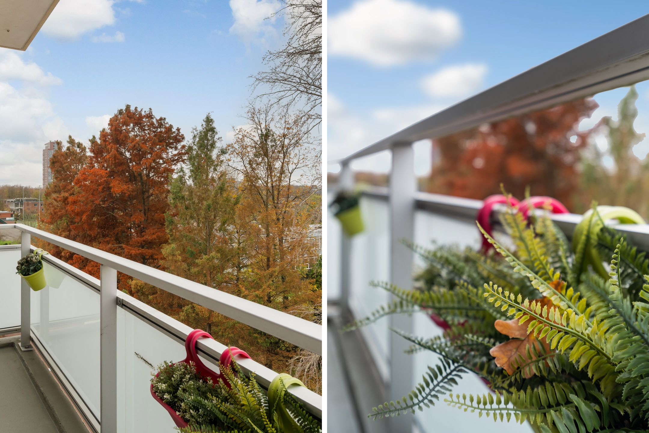 Photo 15 of Van der Helmstraat 476