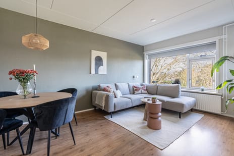 Molenstraat thumbnail