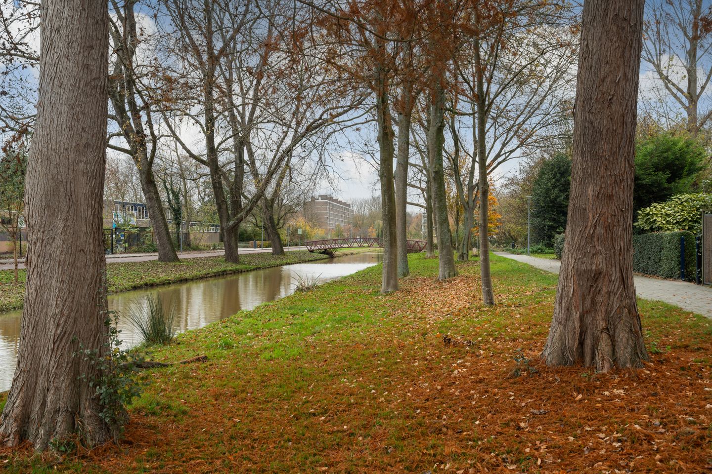 Photo 40 of Van der Helmstraat 476