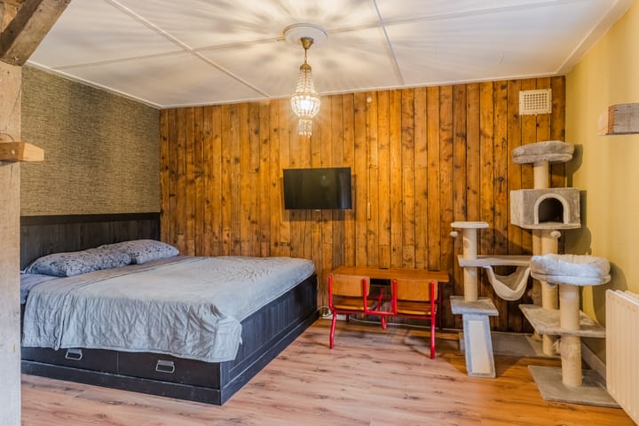 Photo 24 of Terheijdenseweg 227