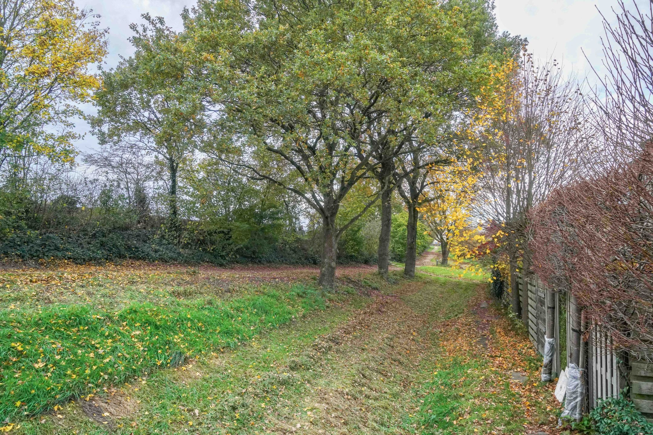 Foto 42 van Groninger Kroongaarde 14