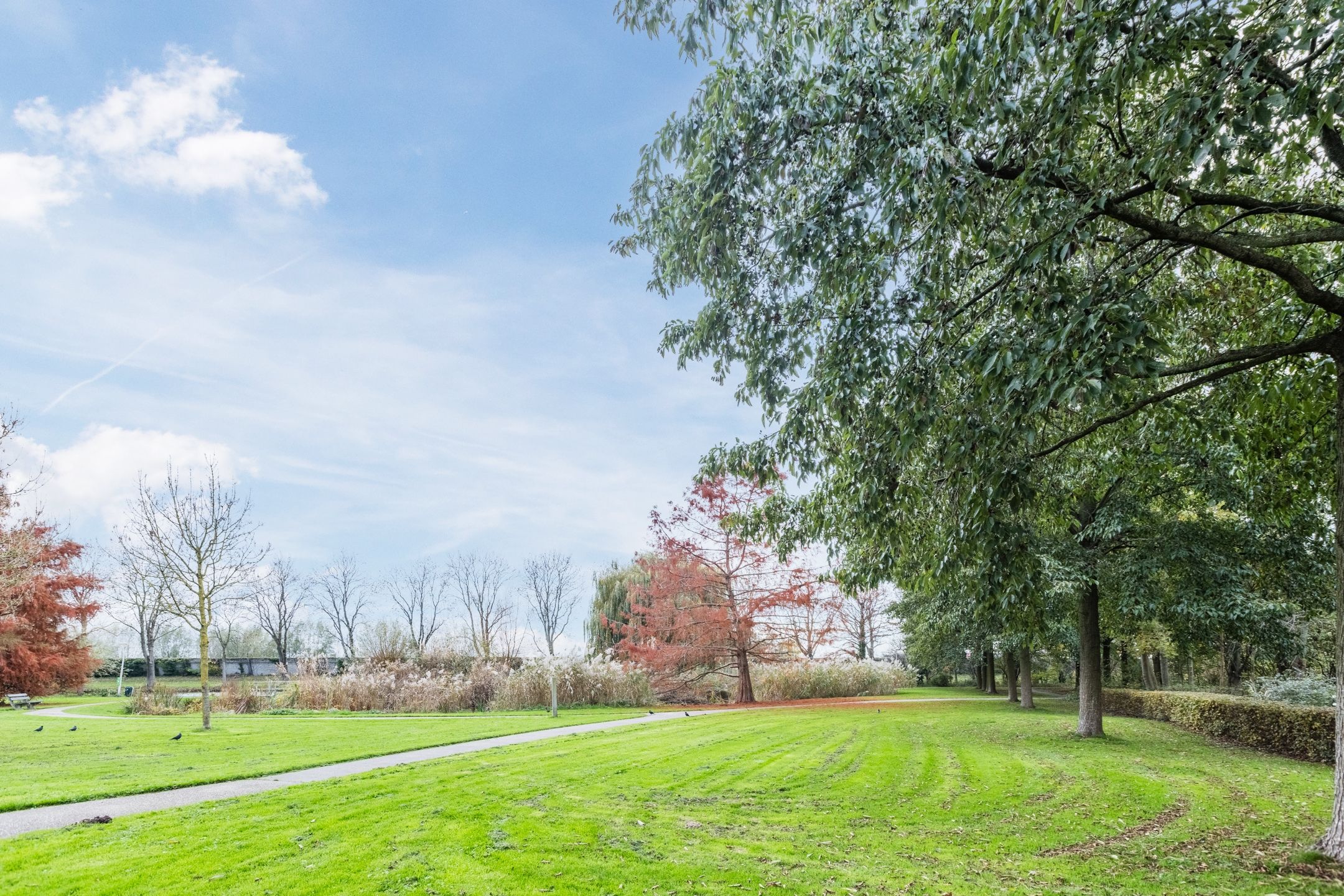 Photo 36 of Populierenhof 66