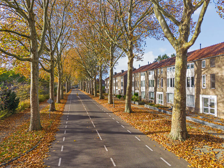 Foto 4 van Henri Hermanslaan 117