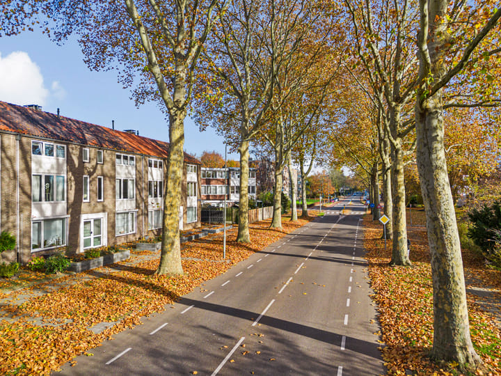 Photo 5 of Henri Hermanslaan 117